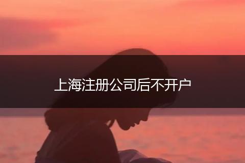 上海注冊(cè)公司后不開(kāi)戶