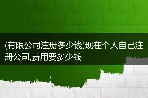 (有限公司注冊(cè)多少錢)現(xiàn)在個(gè)人自己注冊(cè)公司,費(fèi)用要多少錢