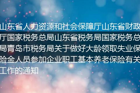 山東省人力資源和社會保障廳山東省財政廳國家稅務總局山東省稅務局國家稅務總局青島市稅務局關于做好大齡領取失業(yè)保險金人員參加企業(yè)職工基本養(yǎng)老保險有關工作的通知