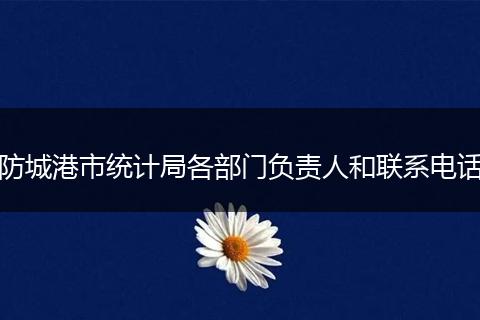 防城港市統(tǒng)計局各部門負責(zé)人和聯(lián)系電話