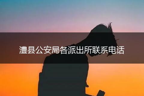 澧縣公安局各派出所聯(lián)系電話