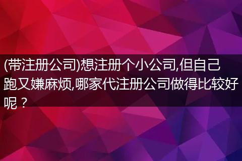 (帶注冊公司)想注冊個(gè)小公司,但自己跑又嫌麻煩,哪家代注冊公司做得比較好呢？