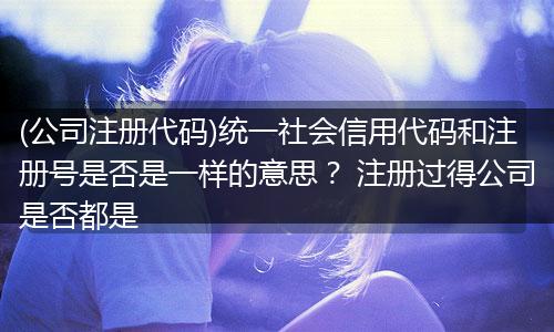 (公司注冊代碼)統(tǒng)一社會信用代碼和注冊號是否是一樣的意思？ 注冊過得公司是否都是