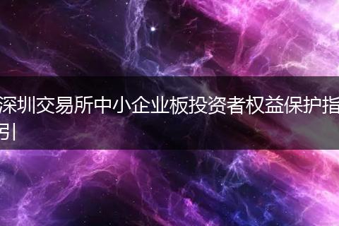 深圳交易所中小企業(yè)板投資者權(quán)益保護(hù)指引