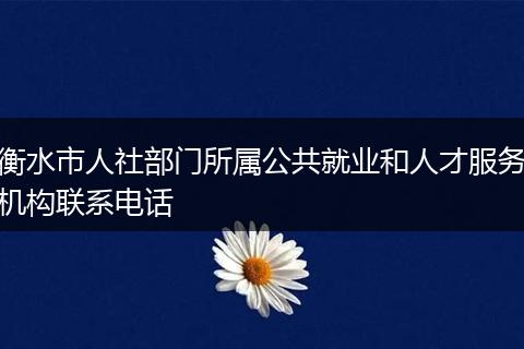 衡水市人社部門所屬公共就業(yè)和人才服務(wù)機(jī)構(gòu)聯(lián)系電話
