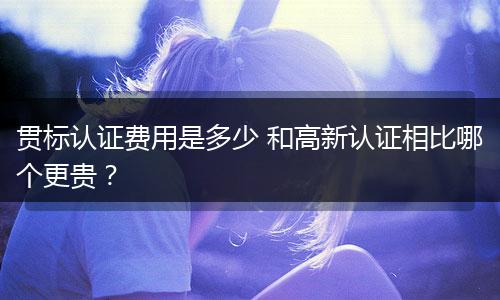 貫標認證費用是多少 和高新認證相比哪個更貴？
