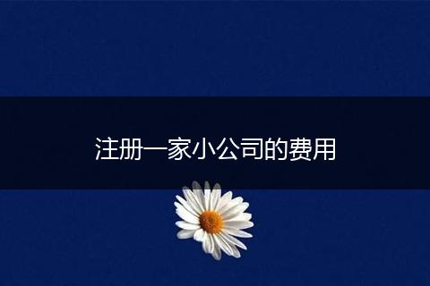注冊一家小公司的費(fèi)用